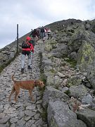 krkonose0034